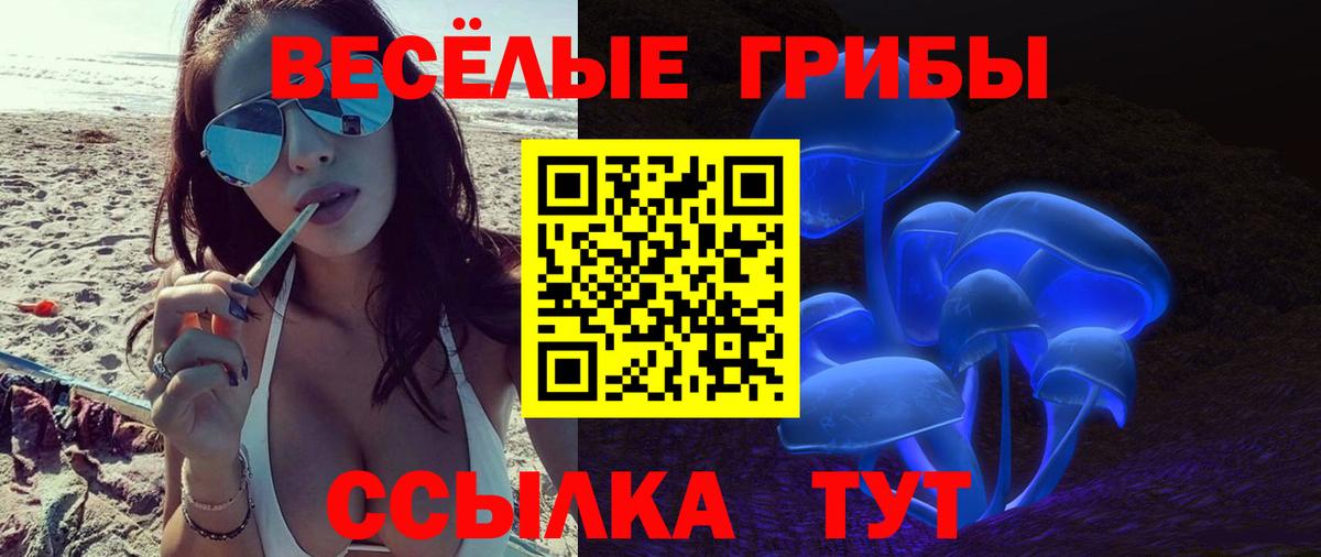 Галлюциногенные грибы GOLDEN TEACHER  наркота  Вятские Поляны  Вход с VPN 
