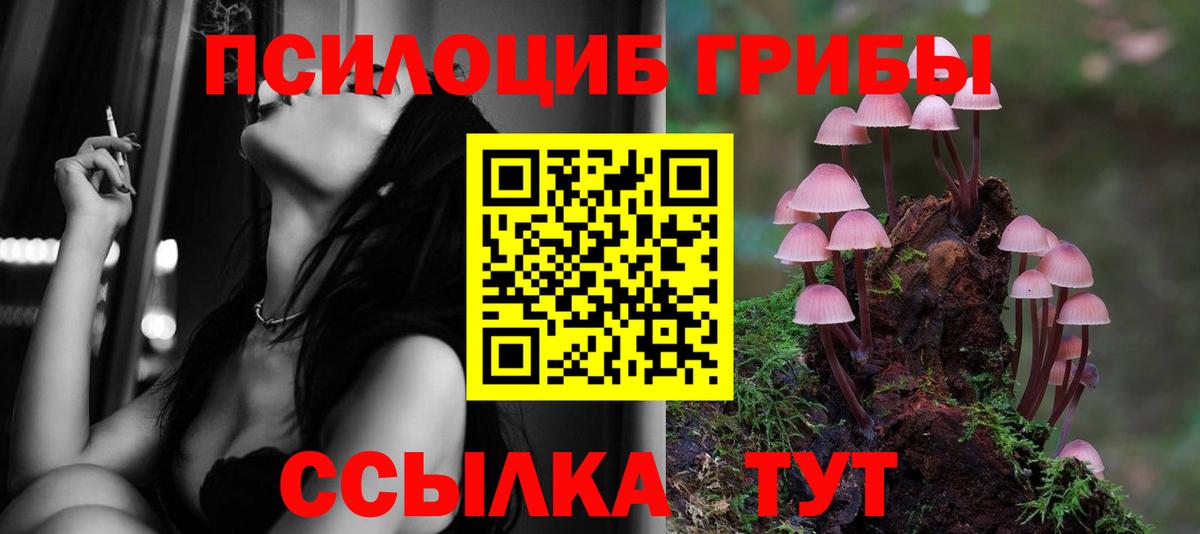 Галлюциногенные грибы Magic Shrooms Вятские Поляны